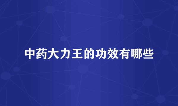 中药大力王的功效有哪些