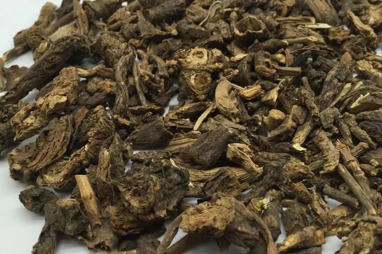 墓回头全草图片