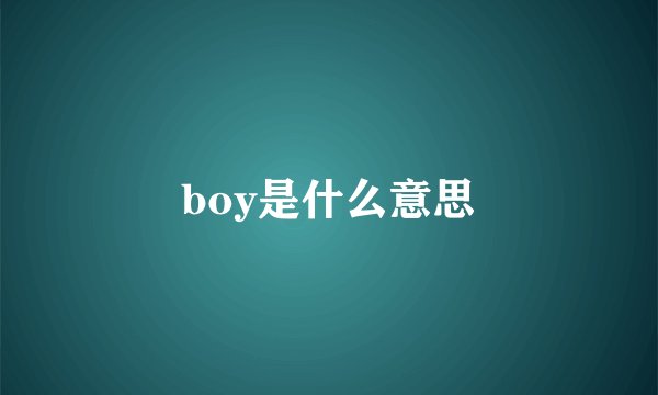 boy是什么意思