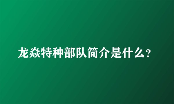 龙焱特种部队简介是什么？