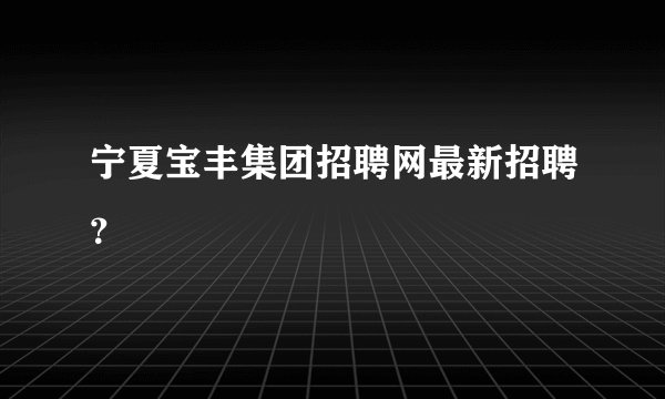 宁夏宝丰集团招聘网最新招聘？