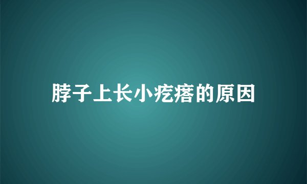 脖子上长小疙瘩的原因