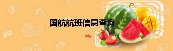 国航航班信息查询