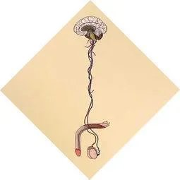 人类到底生活在几维空间里？