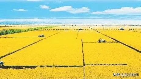 袁隆平身价千亿，有六七辆“豪车”，为啥只舍得穿50块的衣服？