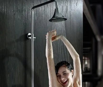 淋浴器什么牌子好 2016最新淋浴器十大品牌排行榜