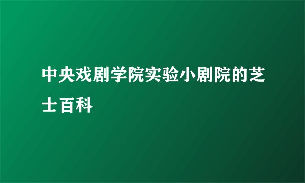 中央戏剧学院实验小剧院的芝士百科