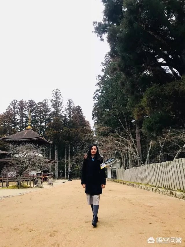 请问最近有没有去过高野山的朋友?