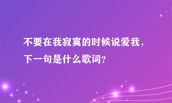 不要在我寂寞的时候说爱我，下一句是什么歌词？