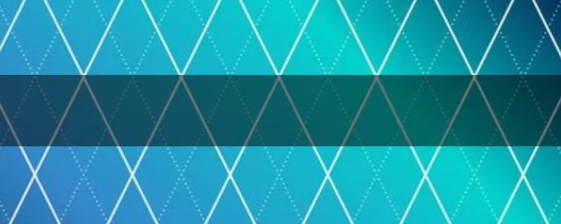 ssw战队是哪个国家的