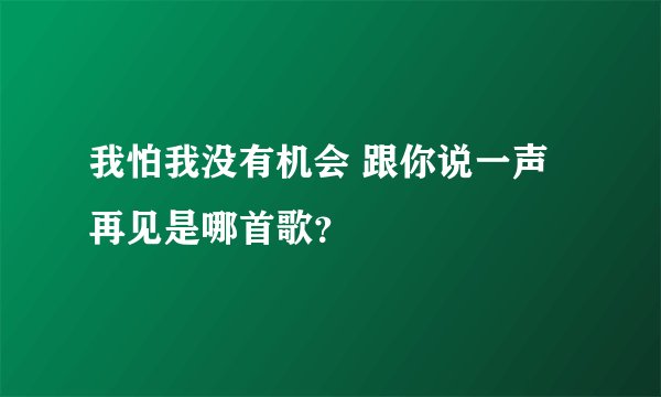 我怕我没有机会 跟你说一声再见是哪首歌？