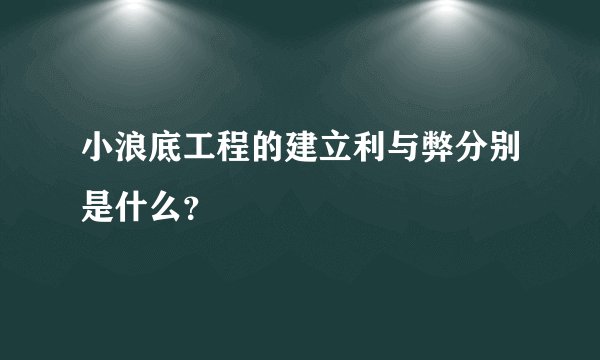 小浪底工程的建立利与弊分别是什么？