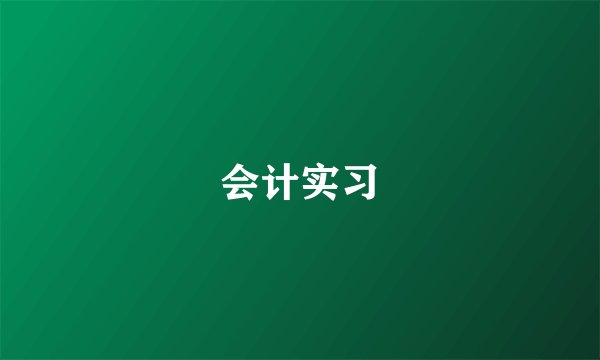 会计实习