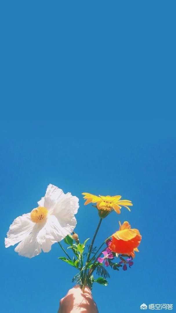 有什么好看的、景色秀丽的壁纸？