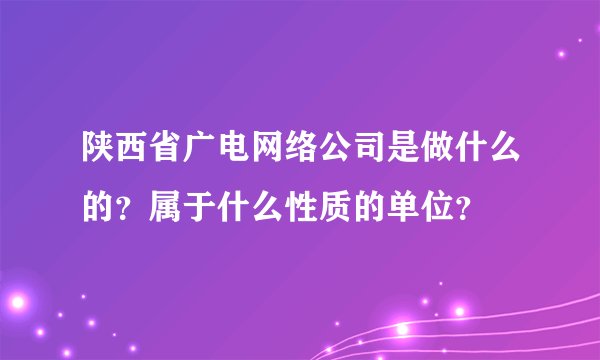 陕西省广电网络公司是做什么的？属于什么性质的单位？