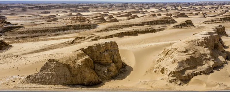 土地沙漠化的防治 土地沙漠化的防治措施