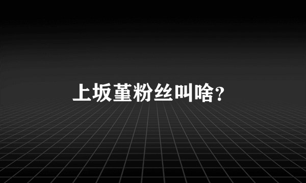 上坂堇粉丝叫啥？