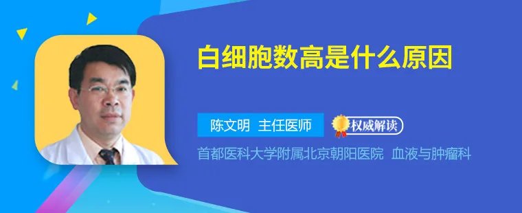 白细胞数高是什么原因