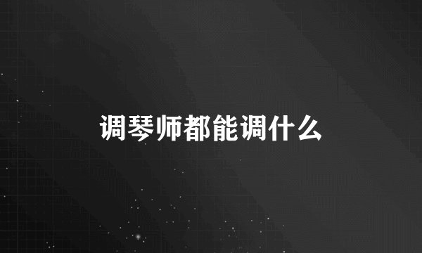 调琴师都能调什么