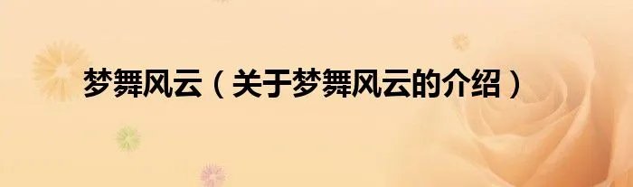 梦舞风云（关于梦舞风云的介绍）