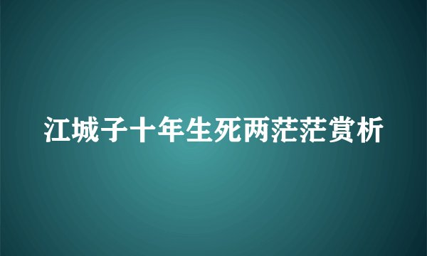 江城子十年生死两茫茫赏析