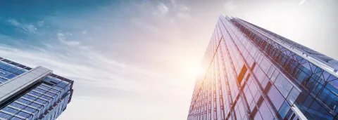 分公司是否属于法人企业