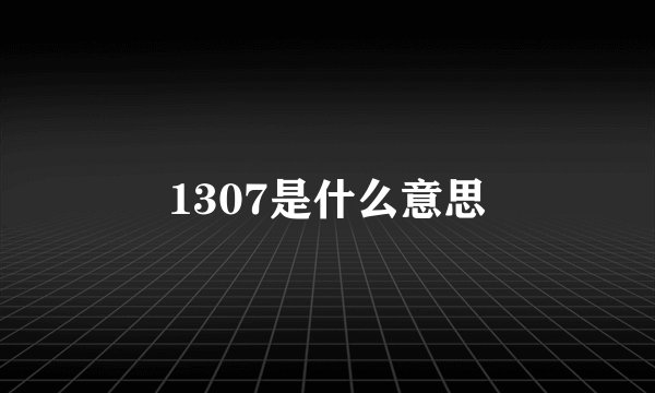 1307是什么意思