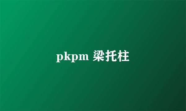 pkpm 梁托柱