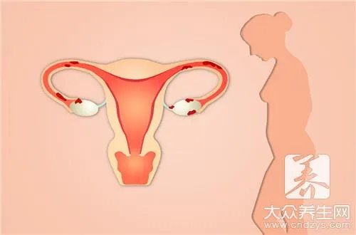 马鞭草有什么功效