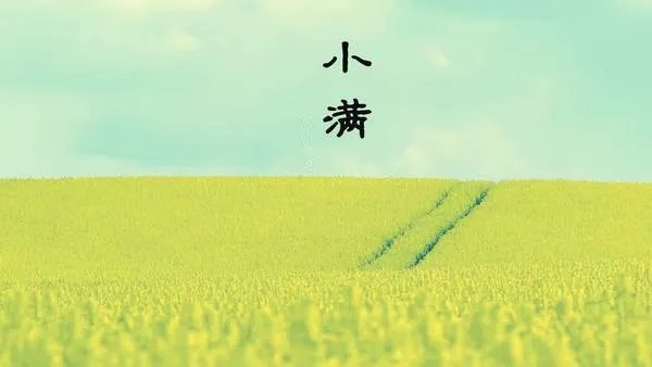 关于小满的诗句