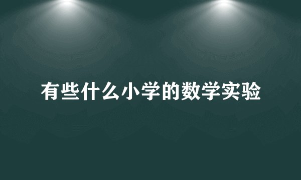 有些什么小学的数学实验