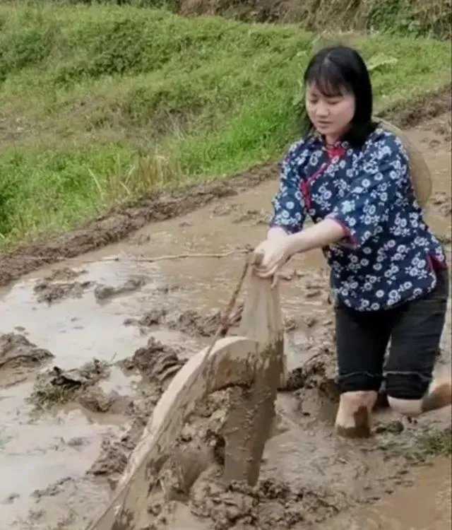 从哪里能去送别袁隆平院士？