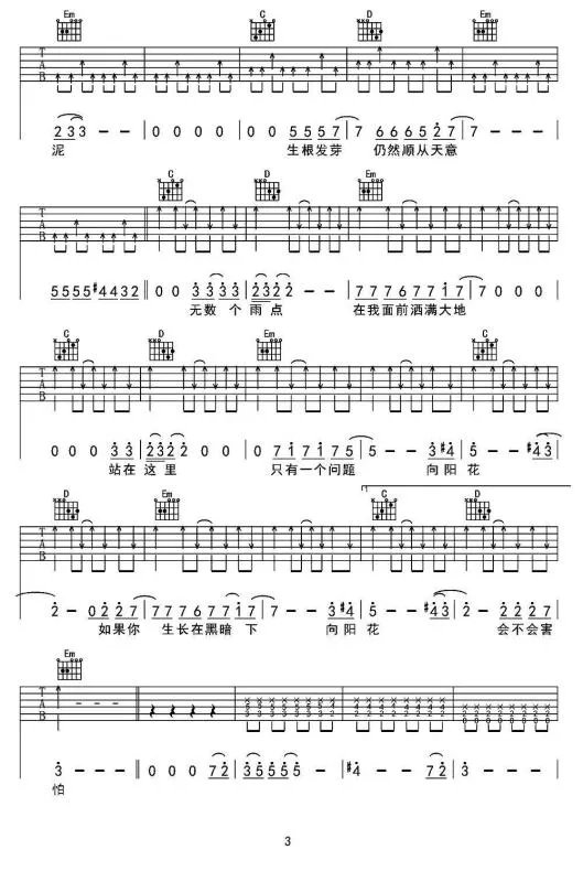 谢天笑向阳花表达什么