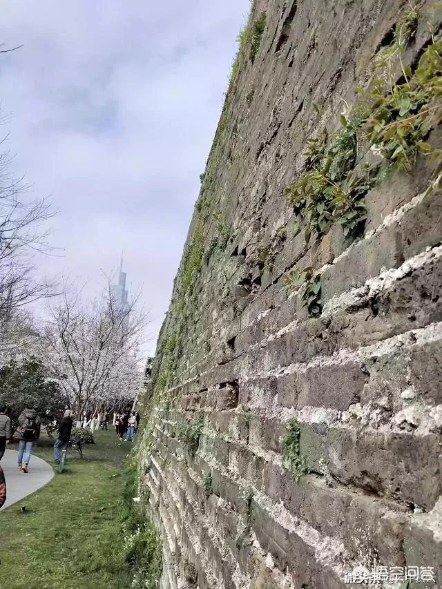 南京鸡鸣寺那里的明城墙收30元门票，你认为值么？