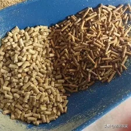 农产品加工项目，有什么工艺项目能加盟吗？