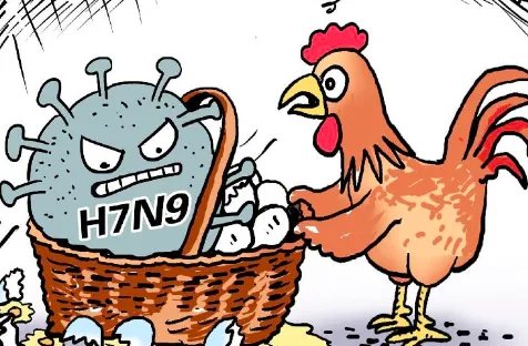 中国上一次禽流感是哪一年?