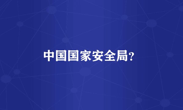 中国国家安全局？