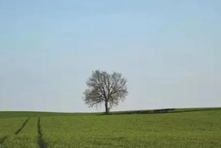 东山再起有什么样的历史典故 东山再起指的是哪一坐山