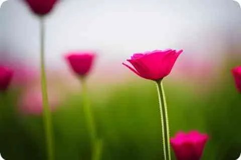 聚氨酯泡沫塑料板是什么