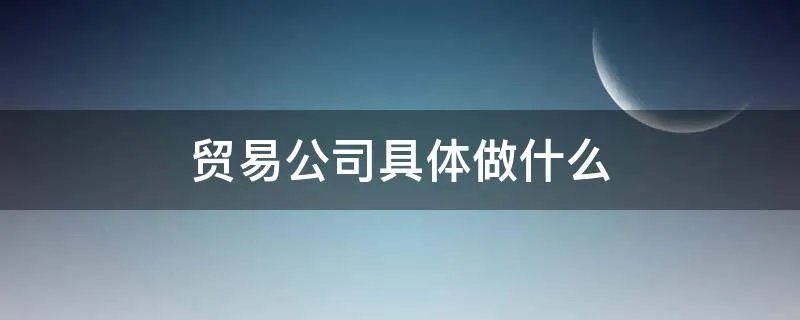 贸易公司具体做什么