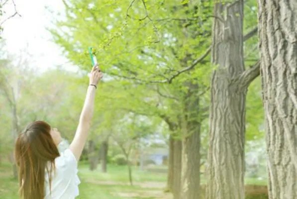 《塔洛希岛》【完结小说】主角周洛褚洵全文全章节小说阅读