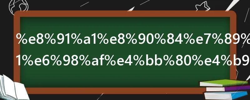 葡萄牙d签证是什么签证