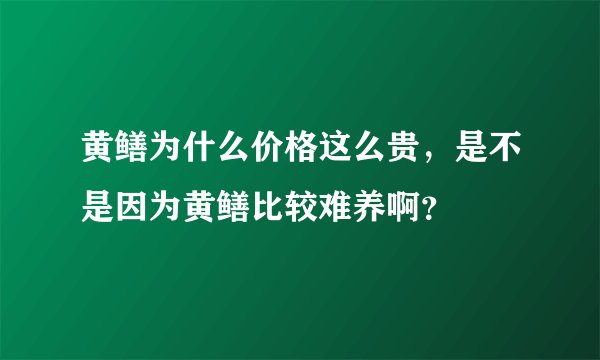 黄鳝为什么价格这么贵，是不是因为黄鳝比较难养啊？