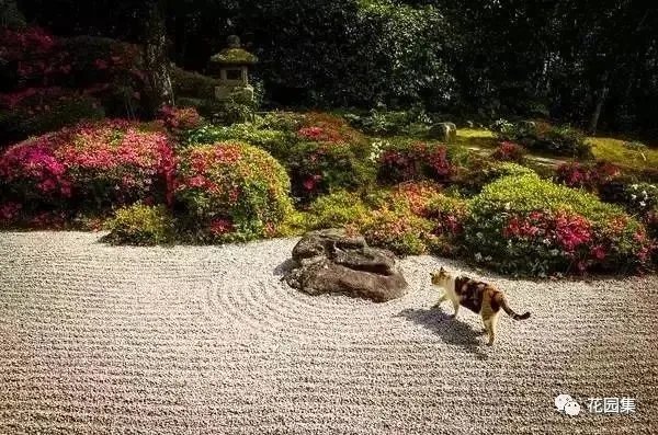 枯山水之置石造景艺术，就是这么有魅力~