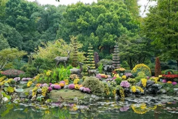 今年杭州菊花展在哪里