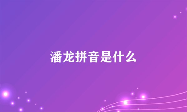 潘龙拼音是什么