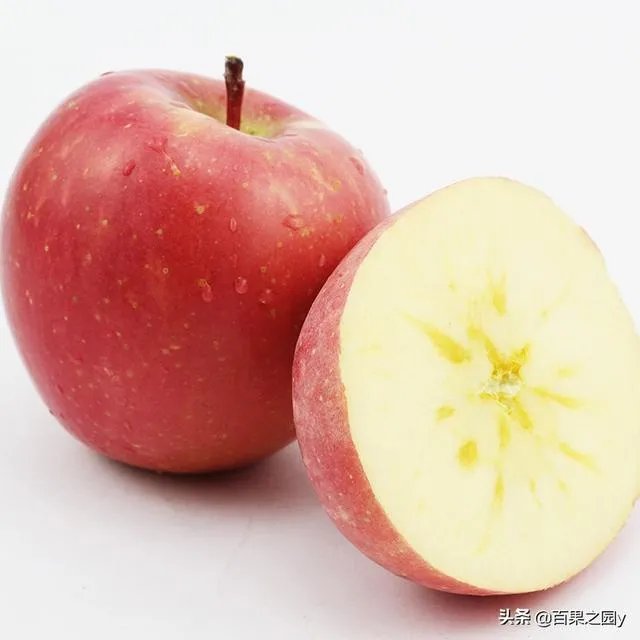 进入9月份了中晚熟水果陆续进入成熟采摘期，可是今年的水果价格怎么这么低？