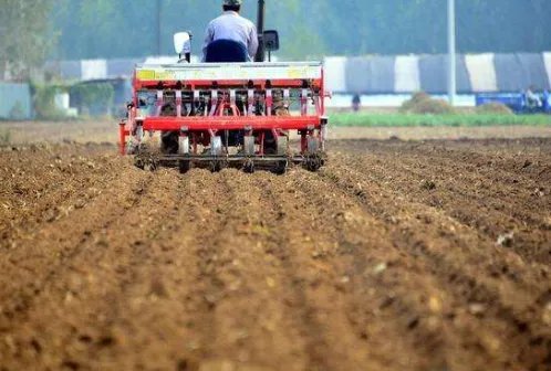 小麦的种植技术有很多，小麦的种植有哪些技术？