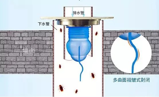 地漏芯怎么更换