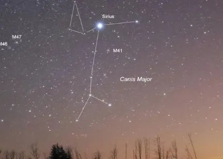 古代的埃及的历史到底是什么样的 又经历了多少个朝代